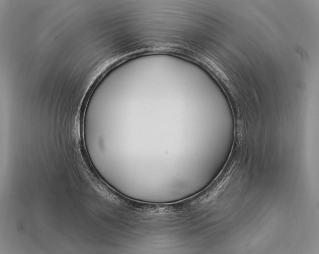 X0000112930891200909141331