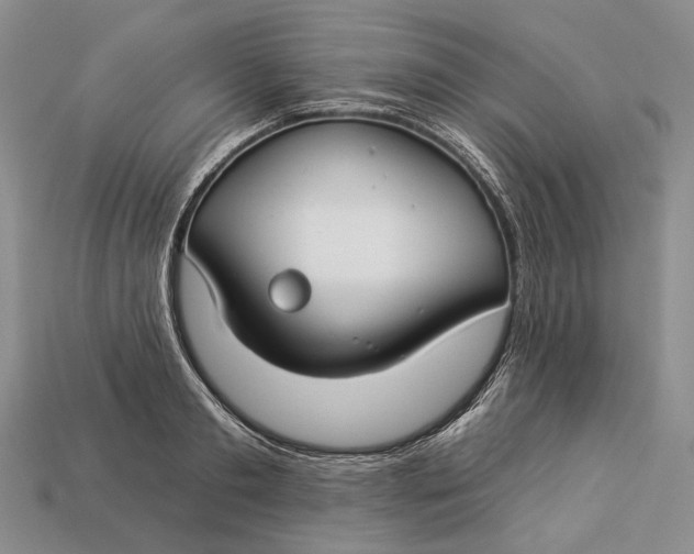 X0000112930893200909141331