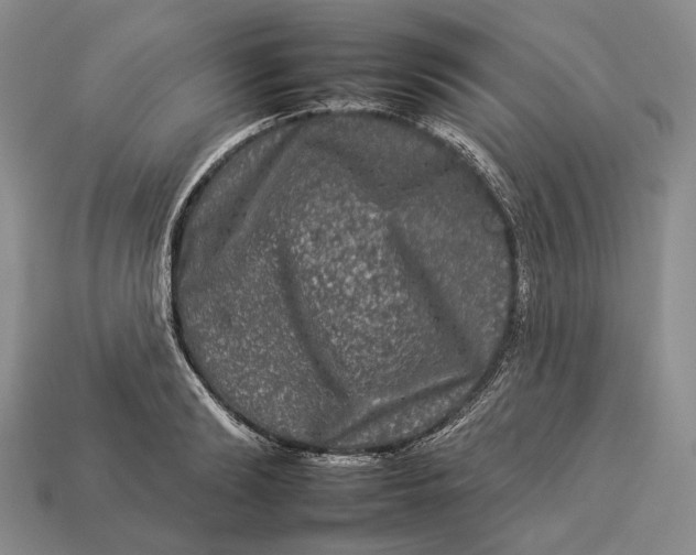 X0000112930894200909141331