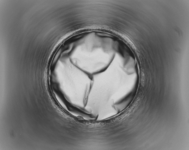 X0000112930895200909141331