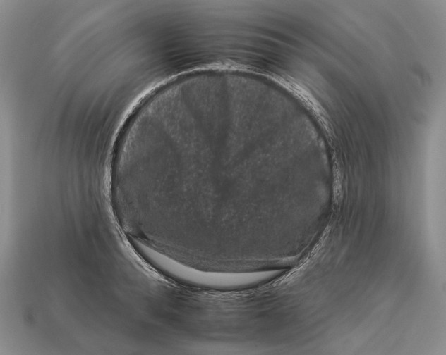 X0000112930896200909141331