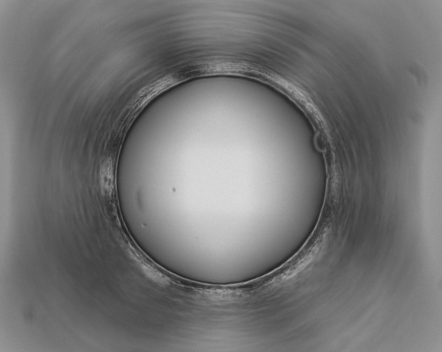 X0000112930897200909141331