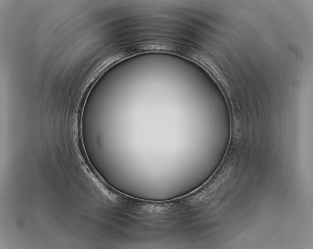 X0000112930898200909141331