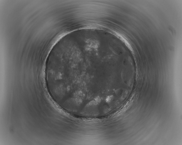 X0000112930899200909141331