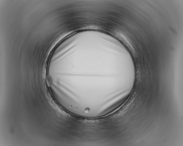 X0000112930900200909141331