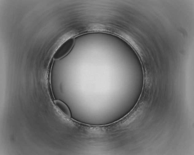 X0000112930901200909141331