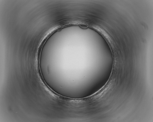 X0000112930902200909141331