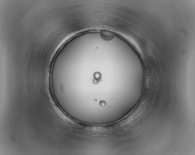 X0000112930903200909141331