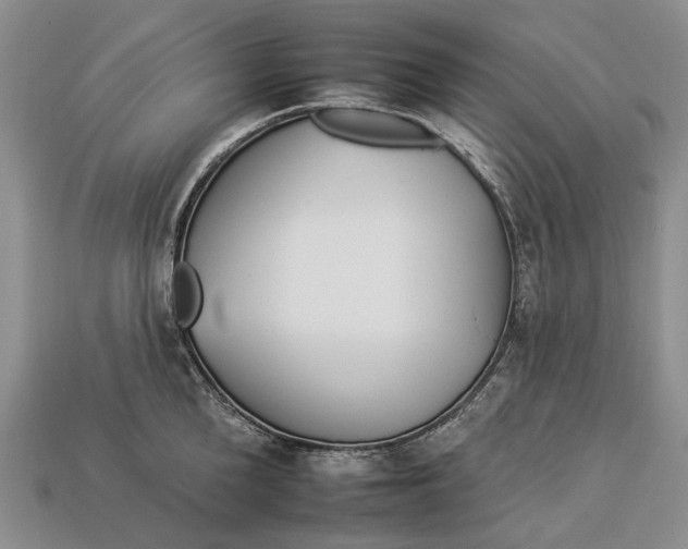 X0000112930904200909141331