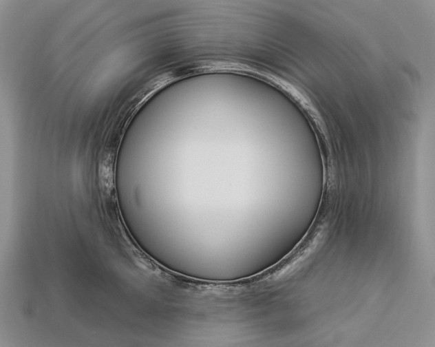 X0000112930905200909141331