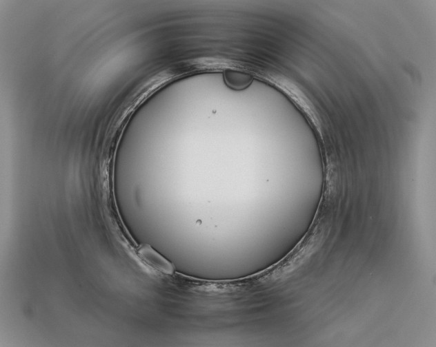 X0000112930906200909141331