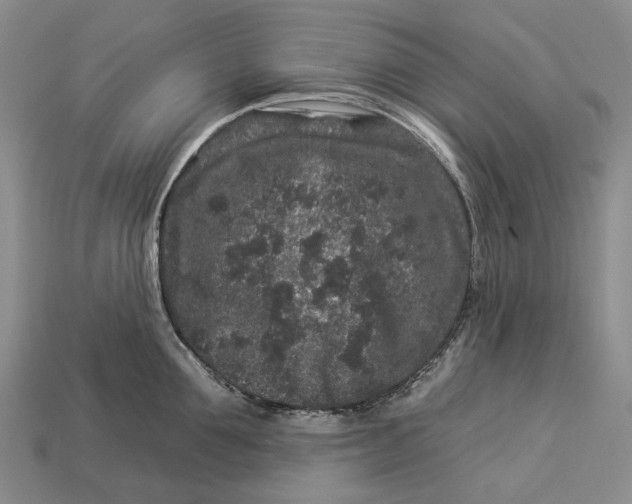 X0000112930907200909141331