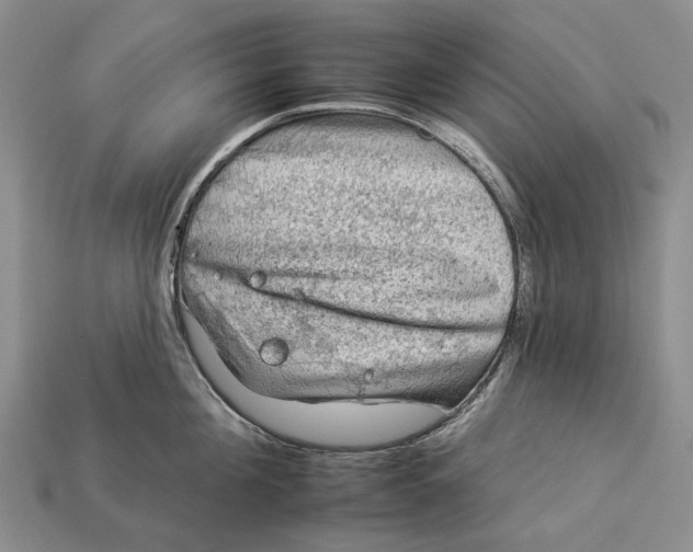 X0000112930908200909141331