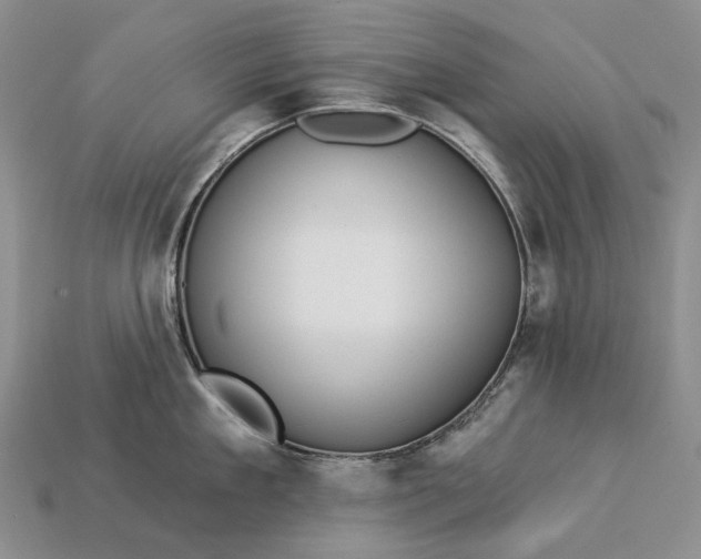 X0000112930909200909141331