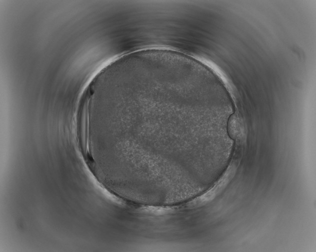 X0000112930910200909141331