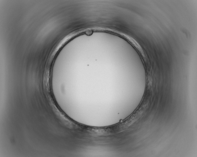 X0000112930911200909141331