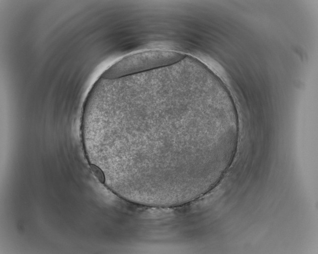 X0000112930912200909141331