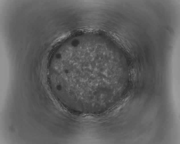 X0000112930913200909141330