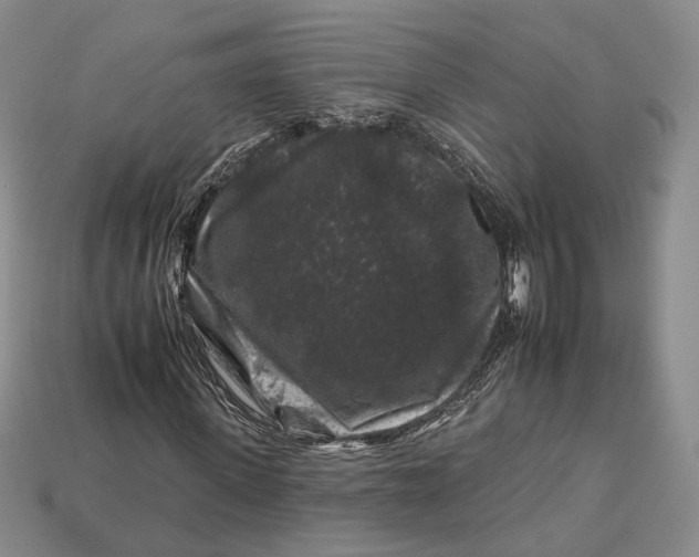 X0000112930915200909141330