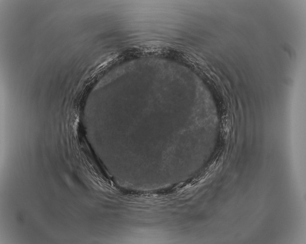 X0000112930916200909141330