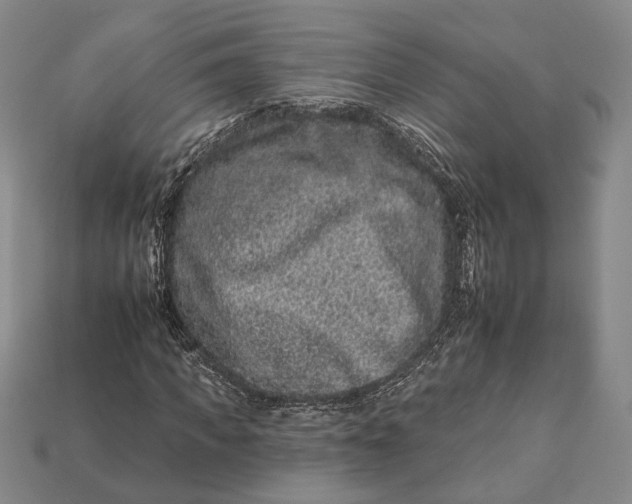 X0000112930917200909141330