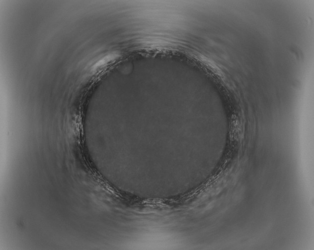 X0000112930918200909141330