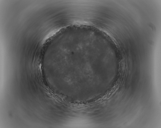 X0000112930919200909141330