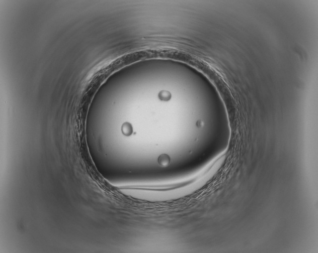 X0000112930920200909141330