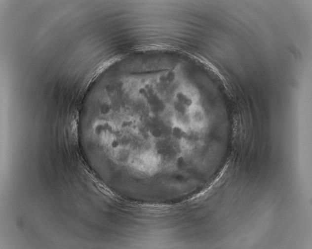 X0000112930921200909141330