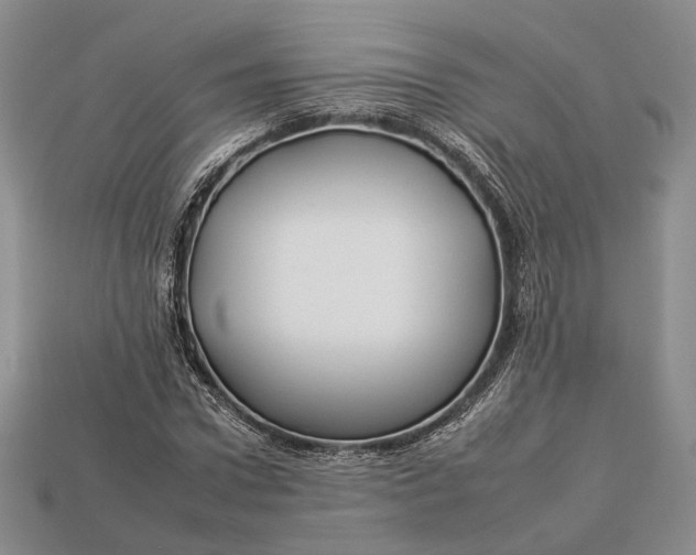 X0000112930922200909141330