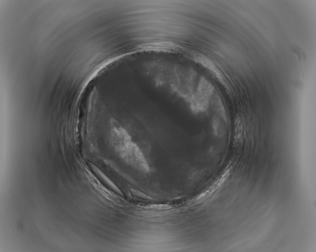 X0000112930923200909141330