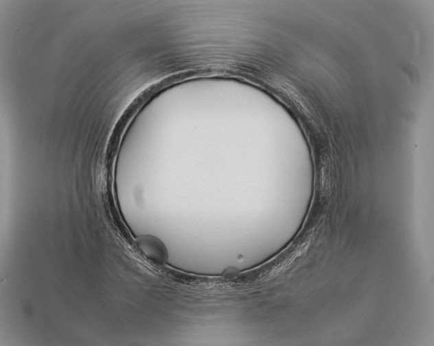 X0000112930924200909141330