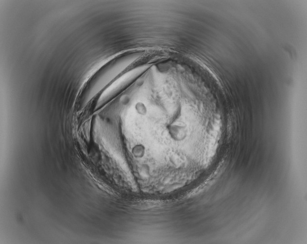 X0000112930925200909141330