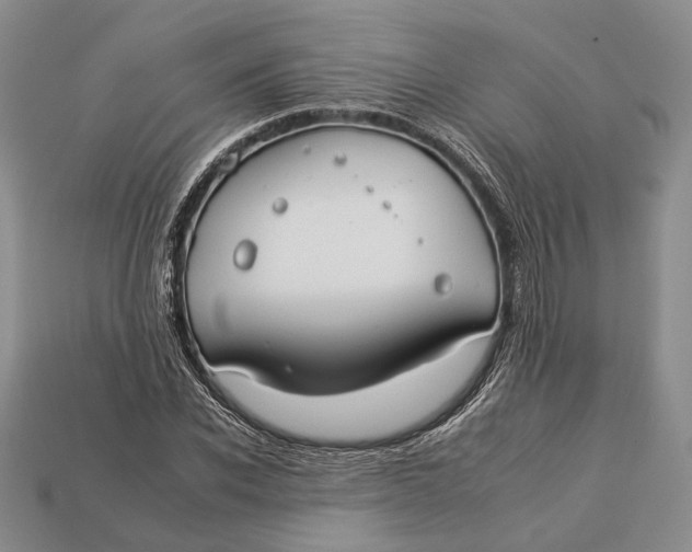 X0000112930926200909141330