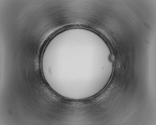 X0000112930927200909141330