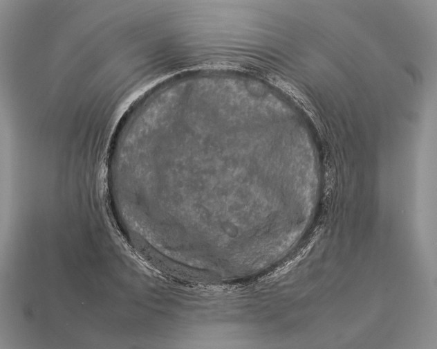 X0000112930928200909141330