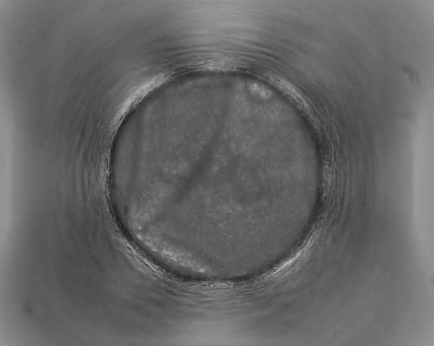 X0000112930930200909141330