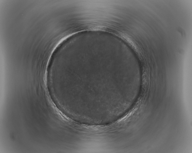 X0000112930932200909141330