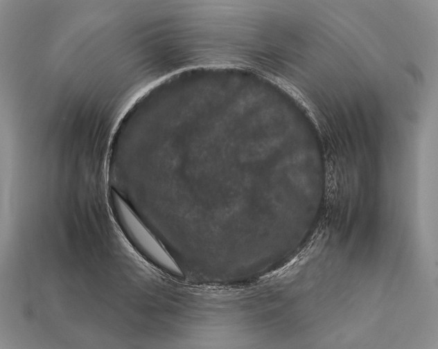 X0000112930935200909141330