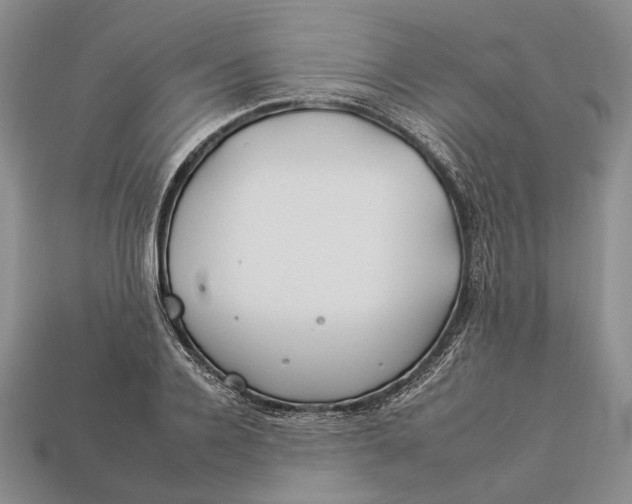 X0000112930936200909141331