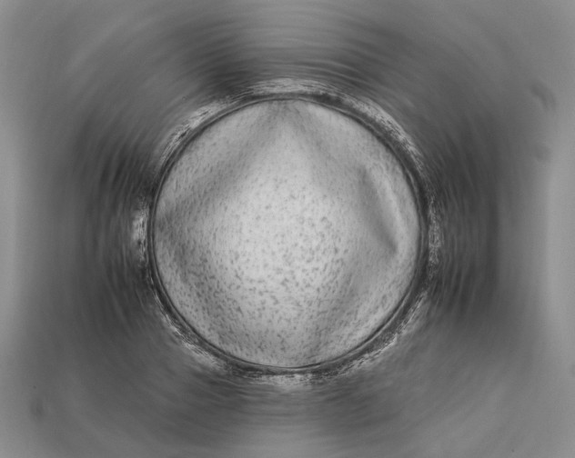 X0000112930937200909141331