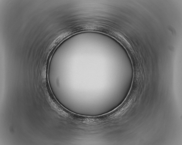 X0000112930938200909141331