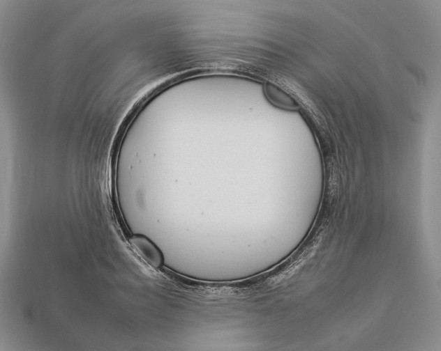 X0000112930940200909141331