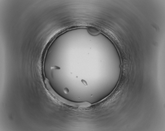 X0000112930942200909141331