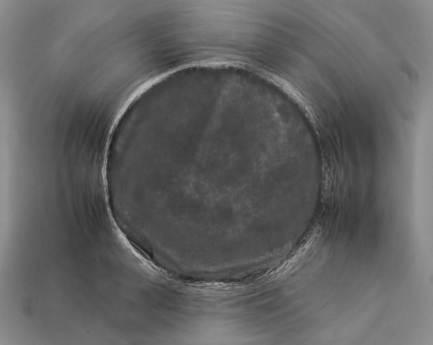 X0000112930943200909141331