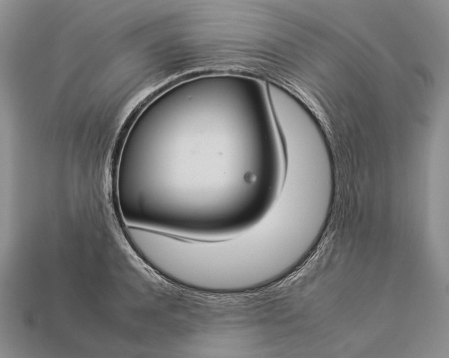 X0000112930944200909141331