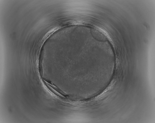 X0000112930946200909141331