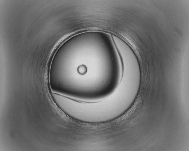 X0000112930948200909141331