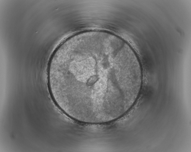 X0000112930950200909141331