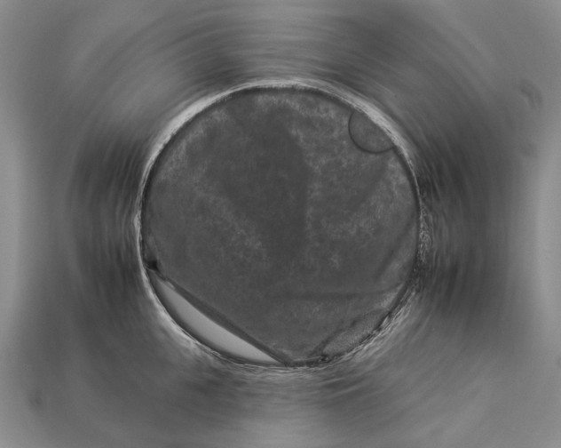 X0000112930951200909141331